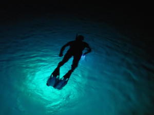 73 Nacht snorkeling