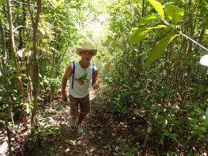 (32) Mangrove wandeling